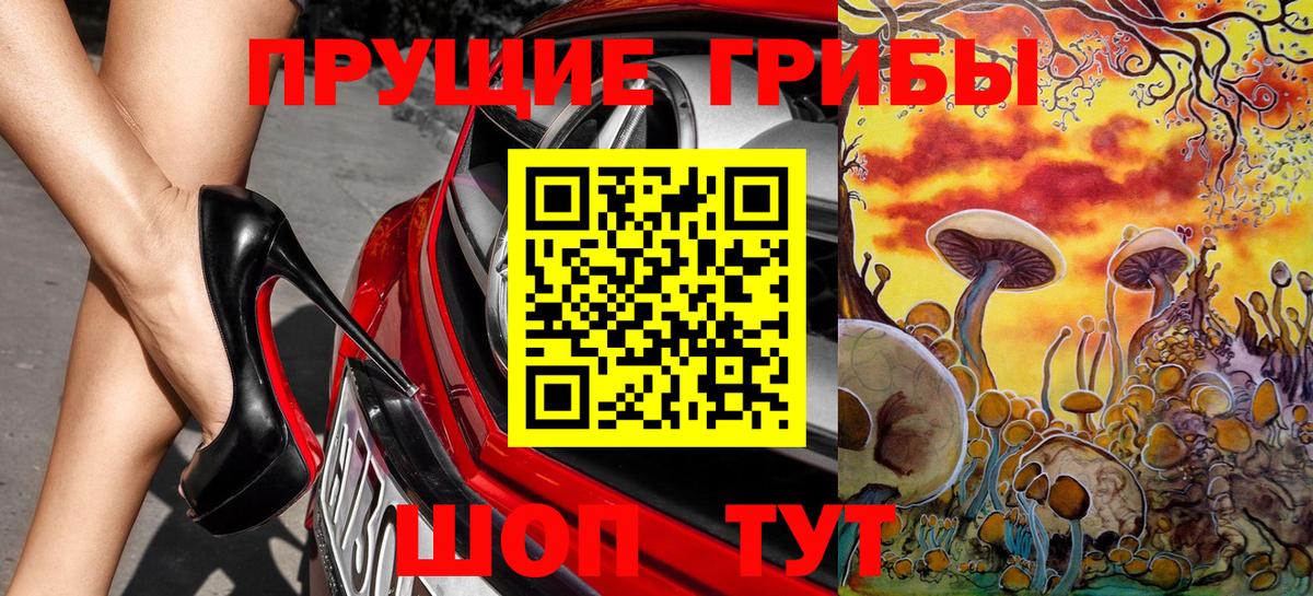 Псилоцибиновые грибы мицелий  Вход с VPN  Сорочинск 