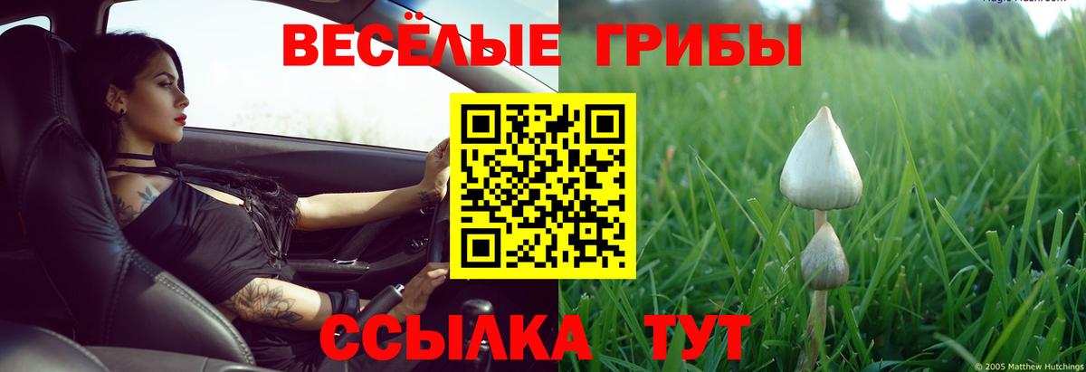Галлюциногенные грибы мицелий Сорочинск